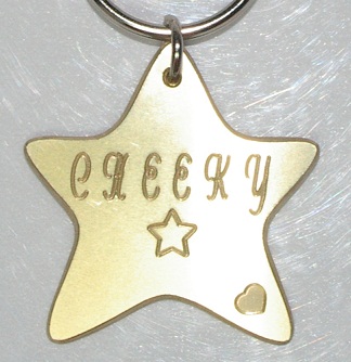 Brass Star Keyring